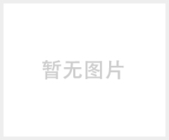 爱森阳离子聚丙烯酰胺FO 4240 SSH